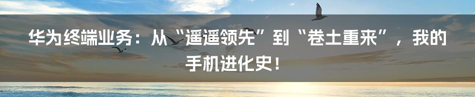 华为终端业务：从“遥遥领先”到“卷土重来”，我的手机进化史！