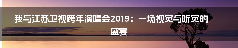 我与江苏卫视跨年演唱会2019:一场视觉与听觉的盛宴