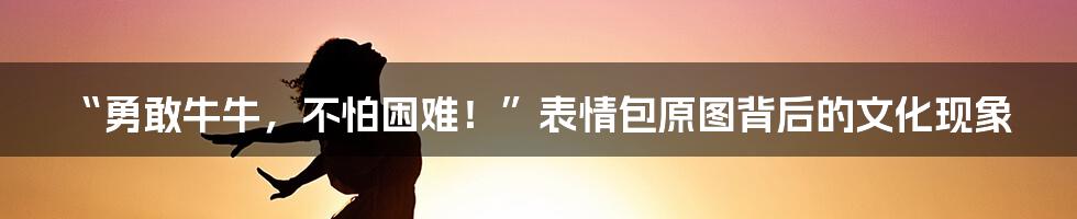 “勇敢牛牛,不怕困难!”表情包原图背后的文化现象