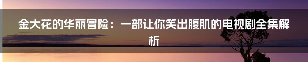 金大花的华丽冒险：一部让你笑出腹肌的电视剧全集解析