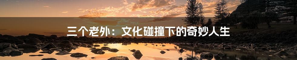 三个老外：文化碰撞下的奇妙人生