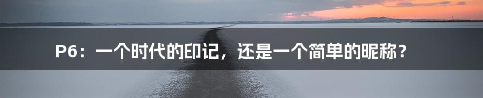 P6：一个时代的印记，还是一个简单的昵称？