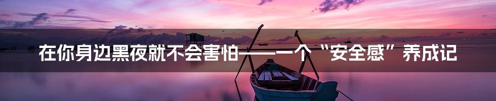 在你身边黑夜就不会害怕——一个“安全感”养成记
