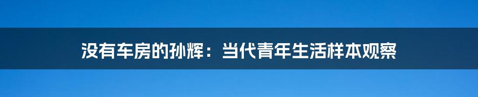 没有车房的孙辉:当代青年生活样本观察