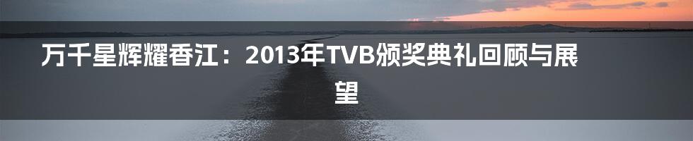 万千星辉耀香江:2013年TVB颁奖典礼回顾与展望