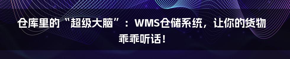 仓库里的“超级大脑”:WMS仓储系统,让你的货物乖乖听话!