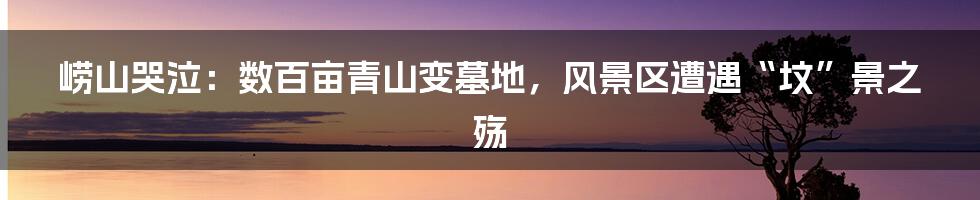崂山哭泣:数百亩青山变墓地,风景区遭遇“坟”景之殇
