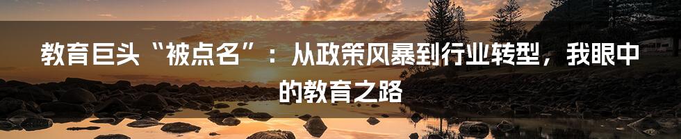 教育巨头“被点名”:从政策风暴到行业转型,我眼中的教育之路