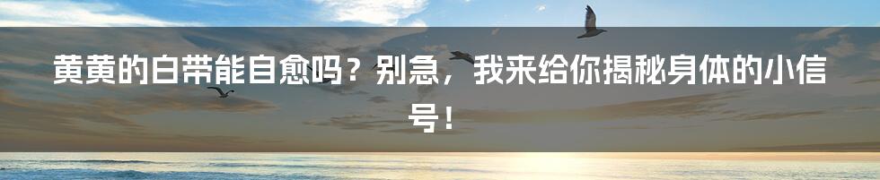黄黄的白带能自愈吗？别急，我来给你揭秘身体的小信号！