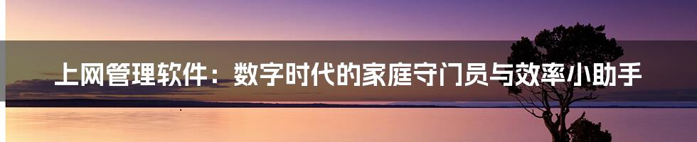 上网管理软件:数字时代的家庭守门员与效率小助手