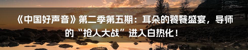 《中国好声音》第二季第五期:耳朵的饕餮盛宴,导师的“抢人大战”进入白热化!