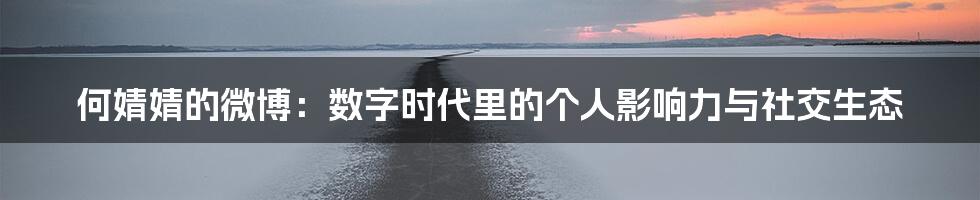 何婧婧的微博：数字时代里的个人影响力与社交生态