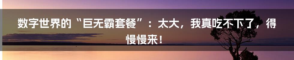 数字世界的“巨无霸套餐”:太大,我真吃不下了,得慢慢来!