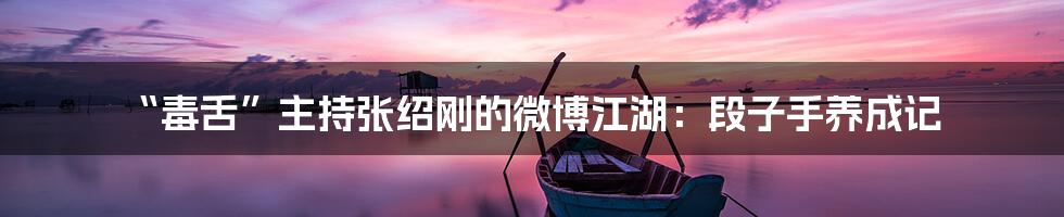 “毒舌”主持张绍刚的微博江湖:段子手养成记