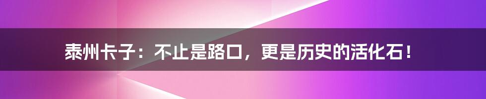 泰州卡子:不止是路口,更是历史的活化石!