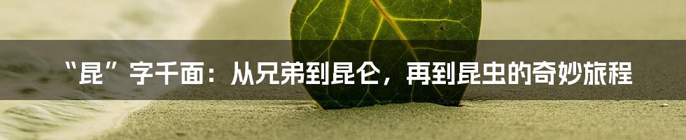 “昆”字千面:从兄弟到昆仑,再到昆虫的奇妙旅程