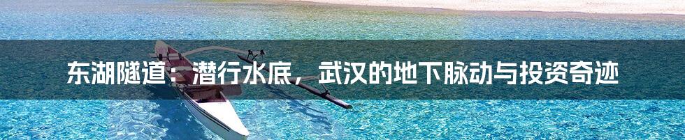 东湖隧道:潜行水底,武汉的地下脉动与投资奇迹
