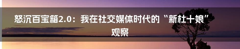 怒沉百宝箱2.0：我在社交媒体时代的“新杜十娘”观察
