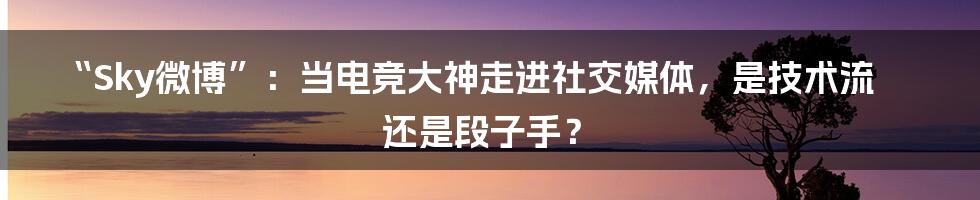 “Sky微博”：当电竞大神走进社交媒体，是技术流还是段子手？