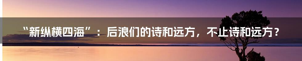 “新纵横四海”:后浪们的诗和远方,不止诗和远方?