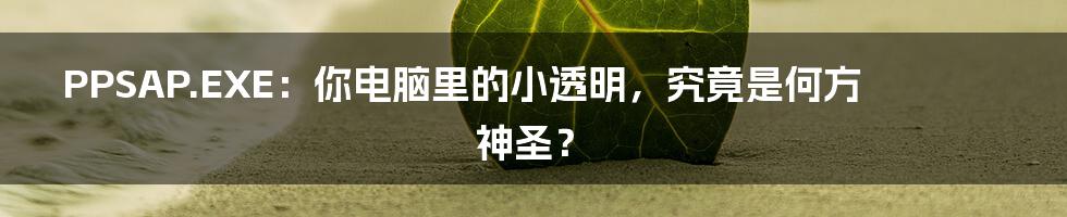 PPSAP.EXE：你电脑里的小透明，究竟是何方神圣？