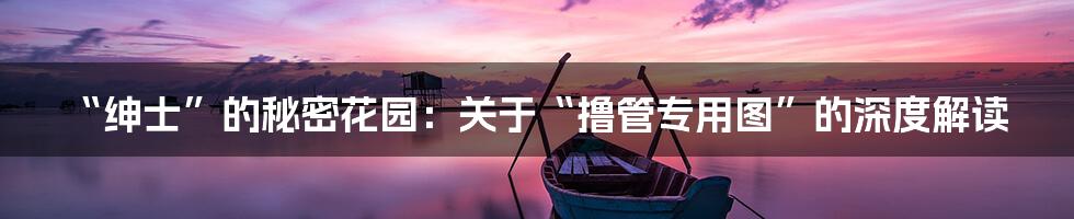 “绅士”的秘密花园:关于“撸管专用图”的深度解读