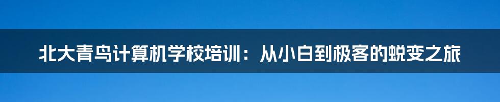 北大青鸟计算机学校培训：从小白到极客的蜕变之旅