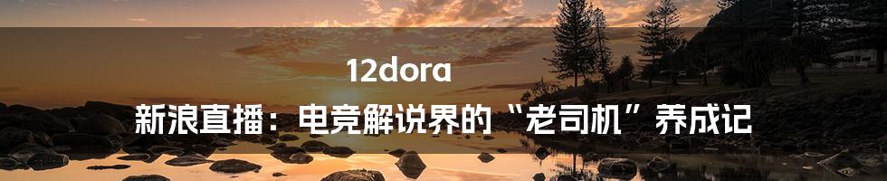 12dora 新浪直播:电竞解说界的“老司机”养成记