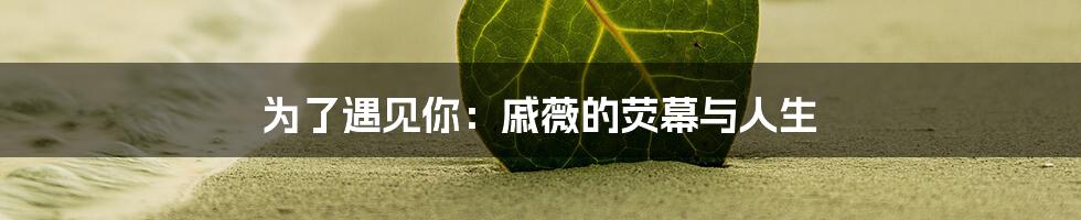 为了遇见你:戚薇的荧幕与人生