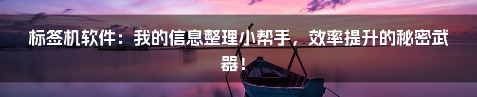 标签机软件：我的信息整理小帮手，效率提升的秘密武器！