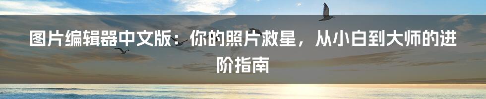 图片编辑器中文版：你的照片救星，从小白到大师的进阶指南