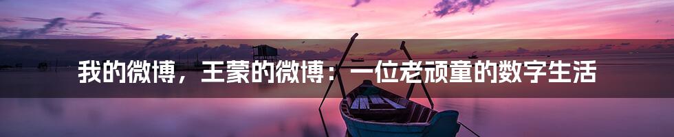我的微博,王蒙的微博:一位老顽童的数字生活