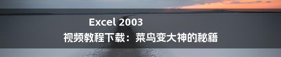 Excel 2003 视频教程下载:菜鸟变大神的秘籍