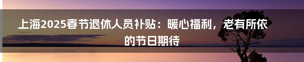 上海2025春节退休人员补贴:暖心福利,老有所依的节日期待