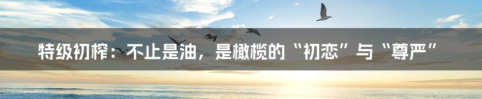 特级初榨:不止是油,是橄榄的“初恋”与“尊严”