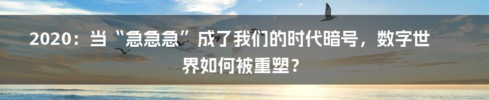 2020:当“急急急”成了我们的时代暗号,数字世界如何被重塑?