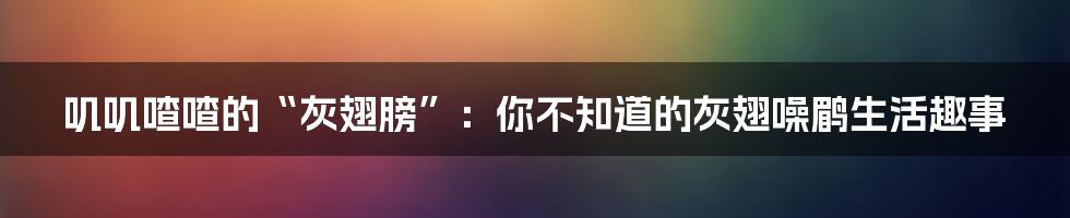 叽叽喳喳的“灰翅膀”：你不知道的灰翅噪鹛生活趣事