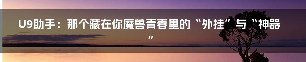 U9助手:那个藏在你魔兽青春里的“外挂”与“神器”