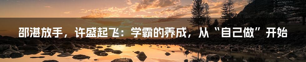 邵湛放手,许盛起飞:学霸的养成,从“自己做”开始