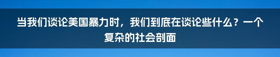 当我们谈论美国暴力时,我们到底在谈论些什么?一个复杂的社会剖面