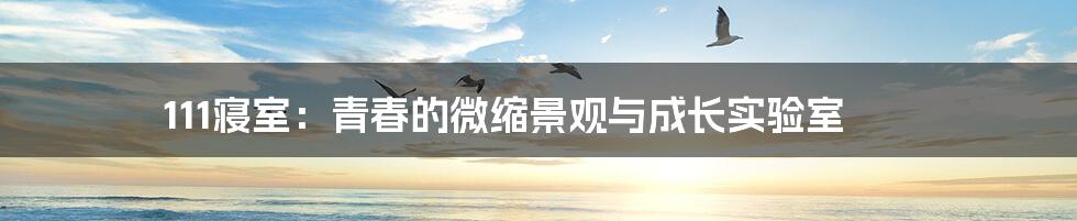 111寝室:青春的微缩景观与成长实验室