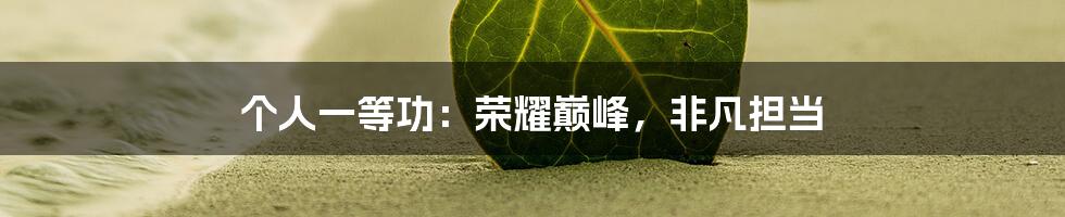 个人一等功:荣耀巅峰,非凡担当