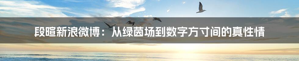 段暄新浪微博:从绿茵场到数字方寸间的真性情