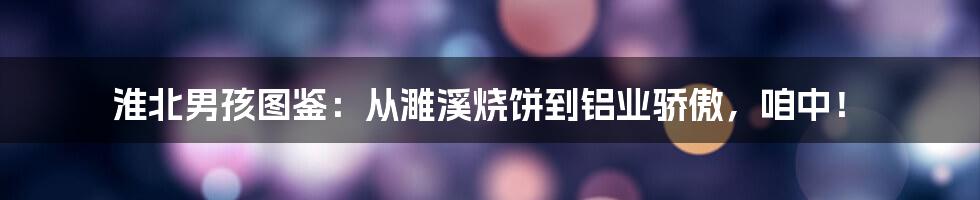 淮北男孩图鉴：从濉溪烧饼到铝业骄傲，咱中！