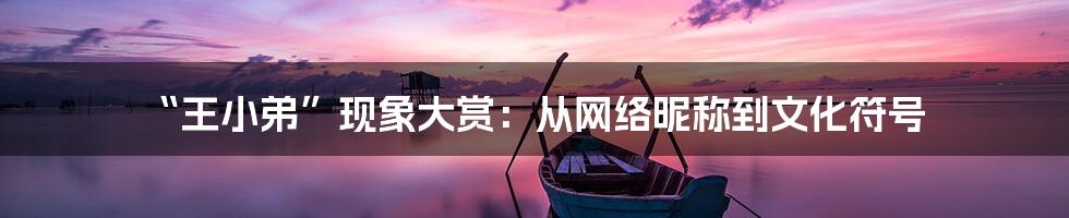 “王小弟”现象大赏:从网络昵称到文化符号