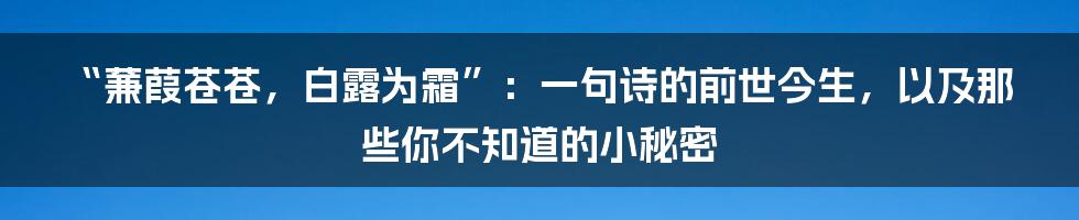 “蒹葭苍苍,白露为霜”:一句诗的前世今生,以及那些你不知道的小秘密