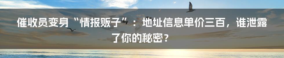 催收员变身“情报贩子”:地址信息单价三百,谁泄露了你的秘密?