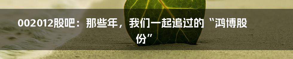 002012股吧:那些年,我们一起追过的“鸿博股份”