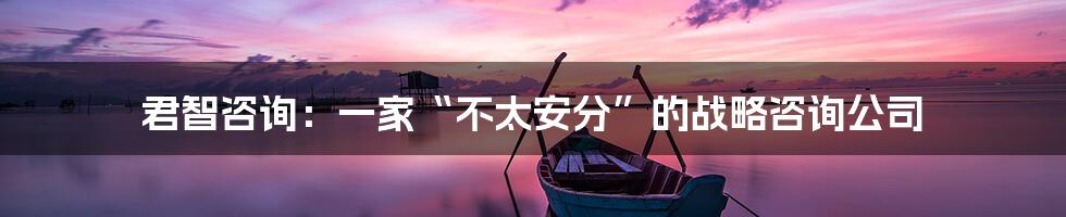 君智咨询:一家“不太安分”的战略咨询公司