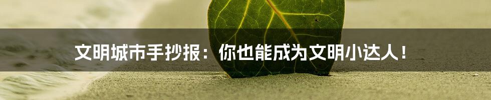 文明城市手抄报:你也能成为文明小达人!